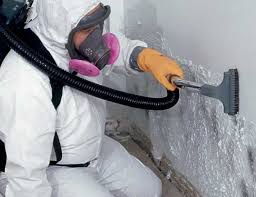 Best Air Quality Testing for Mold Spores in USA